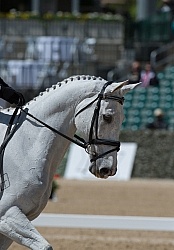 Emily Cammock and Dambala Rolex 2015