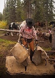 Packing the Pack Horse