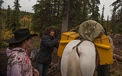 Packing the Pack Horse