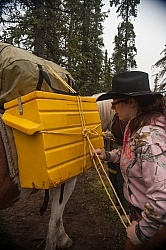 Packing the Pack Horse