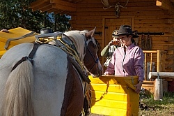 Packing the Pack Horse