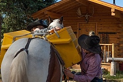 Packing the Pack Horse