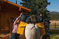 Packing the Pack Horse