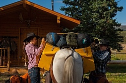 Packing the Pack Horse