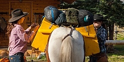 Packing the Pack Horse
