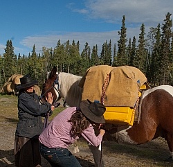 Packing the Pack Horse