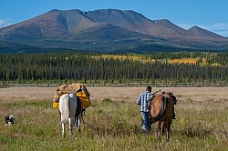 Packing the Pack Horse