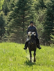 Rocky Mountain Horse on the Trail,Bonnie View Farms Tribute Kidd Rocky Mountain Horse on the Trail,Bonnie View Farms Tribute Kidd