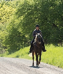 Rocky Mountain Horse on the Trail,Bonnie View Farms Tribute Kidd Rocky Mountain Horse on the Trail,Bonnie View Farms Tribute Kidd