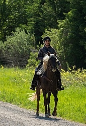 Rocky Mountain Horse on the Trail,Bonnie View Farms Tribute Kidd Rocky Mountain Horse on the Trail,Bonnie View Farms Tribute Kidd