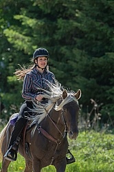 Rocky Mountain Horse on the Trail,Bonnie View Farms Tribute Kidd Rocky Mountain Horse on the Trail,Bonnie View Farms Tribute Kidd