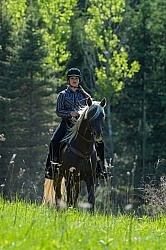 Rocky Mountain Horse on the Trail,Bonnie View Farms Tribute Kidd Rocky Mountain Horse on the Trail,Bonnie View Farms Tribute Kidd