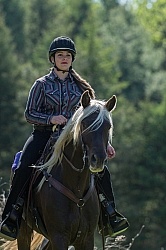 Rocky Mountain Horse on the Trail,Bonnie View Farms Tribute Kidd Rocky Mountain Horse on the Trail,Bonnie View Farms Tribute Kidd