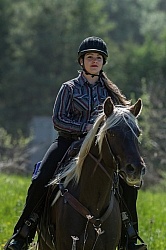 Rocky Mountain Horse on the Trail,Bonnie View Farms Tribute Kidd Rocky Mountain Horse on the Trail,Bonnie View Farms Tribute Kidd