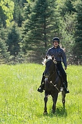 Rocky Mountain Horse on the Trail,Bonnie View Farms Tribute Kidd Rocky Mountain Horse on the Trail,Bonnie View Farms Tribute Kidd