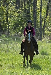 Rocky Mountain Horse on the Trail,Bonnie View Farms Miss Bonnie