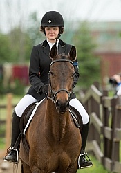 Morgan Quarter Horse Cross Cornerstone Short Course Event