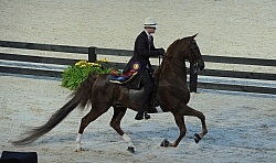 Alltech WEG Opening Ceremonies Saddle Seat 