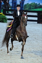 Alltech WEG Opening Ceremonies Saddle Seat 