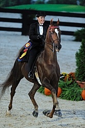 Alltech WEG Opening Ceremonies Saddle Seat 