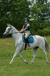 Canadian Sport Horse Cornerstone Short Course