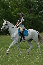 Canadian Sport Horse Cornerstone Short Course