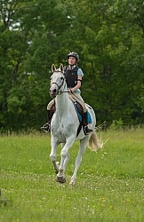 Canadian Sport Horse Cornerstone Short Course