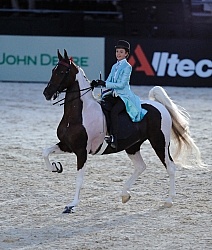Alltech WEG Opening Ceremonies Saddle Seat 