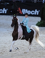 Alltech WEG Opening Ceremonies Saddle Seat 