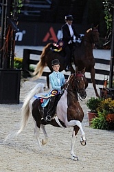 Alltech WEG Opening Ceremonies Saddle Seat 
