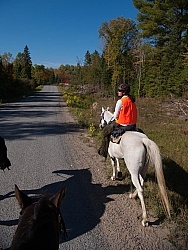 Being Seen on the Trail