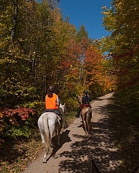 Being Seen on the Trail