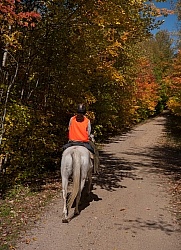 Being Seen on the Trail