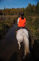 Being Seen on the Trail