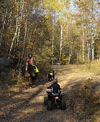 Being Seen on the Trail