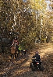 Being Seen on the Trail