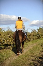 Being Seen on the Trail