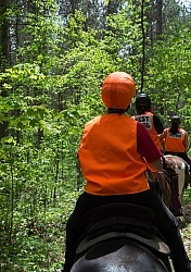 Being Seen on the Trail
