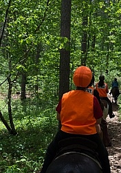 Being Seen on the Trail