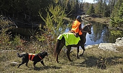 Being Seen on the Trail