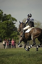 Equine Athlete