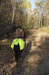 Being Seen on the Trail