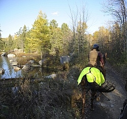 Being Seen on the Trail