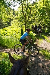Bicycles on the Trail