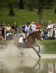 Michele Mueller & Amistad Equine Athlete