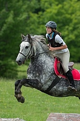 Connemara Hackney Cross Cornerstone Short Course Low Eventing Cross Country Level Eventing Cross Country