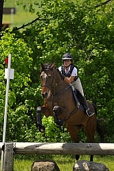 Grandview Horse Trials Low Eventing Cross Country Level Eventing Cross Country Grandview Horse Trials Low Eventing Cross Country Level Eventing Cross Country