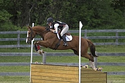 Grandview Horse Trials Low Eventing Cross Country Level Eventing Cross Country Grandview Horse Trials Low Eventing Cross Country Level Eventing Cross Country