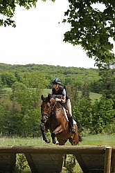 Grandview Horse Trials Low Eventing Cross Country Level Eventing Cross Country Grandview Horse Trials Low Eventing Cross Country Level Eventing Cross Country