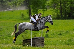 Grandview Horse Trials Low Eventing Cross Country Level Eventing Cross Country Grandview Horse Trials Low Eventing Cross Country Level Eventing Cross Country